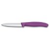 Zestaw 2 noży do warzyw i owoców Swiss Classic Victorinox 6.7695.2C1